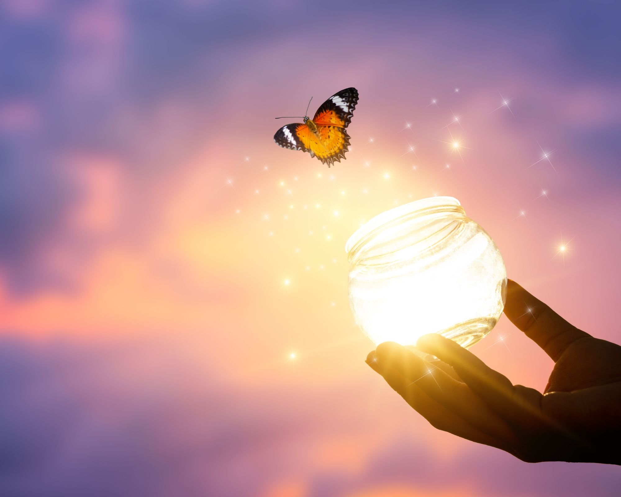 when a butterfly flaps its wings